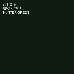 #111C10 - Hunter Green Color Image